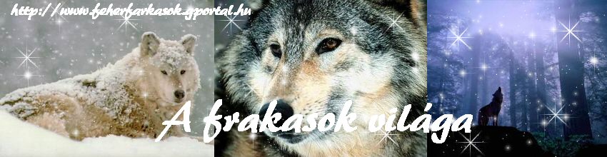  www.feherfarkasok.gportal.hu- A farkasok vilga! 